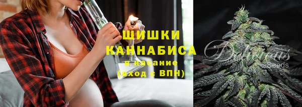 мдпв Мегион